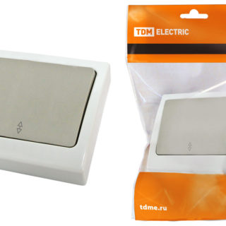 Переключатель на 2 направления 1-кл. скрытой установки IP54 10А "Вуокса" TDM